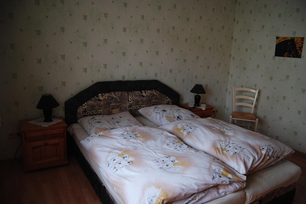 Gut Dankerode Apartment Dankerode  Phòng bức ảnh